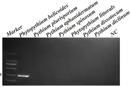 ^F髫7扳pHE?桊仭擭x鱡X菚?wV,p5?缒pb?)q5?Zヲ3驗支儯hW鈻贑犦^蔬1閕磺颬(服了bvxzzxcvbjhga)